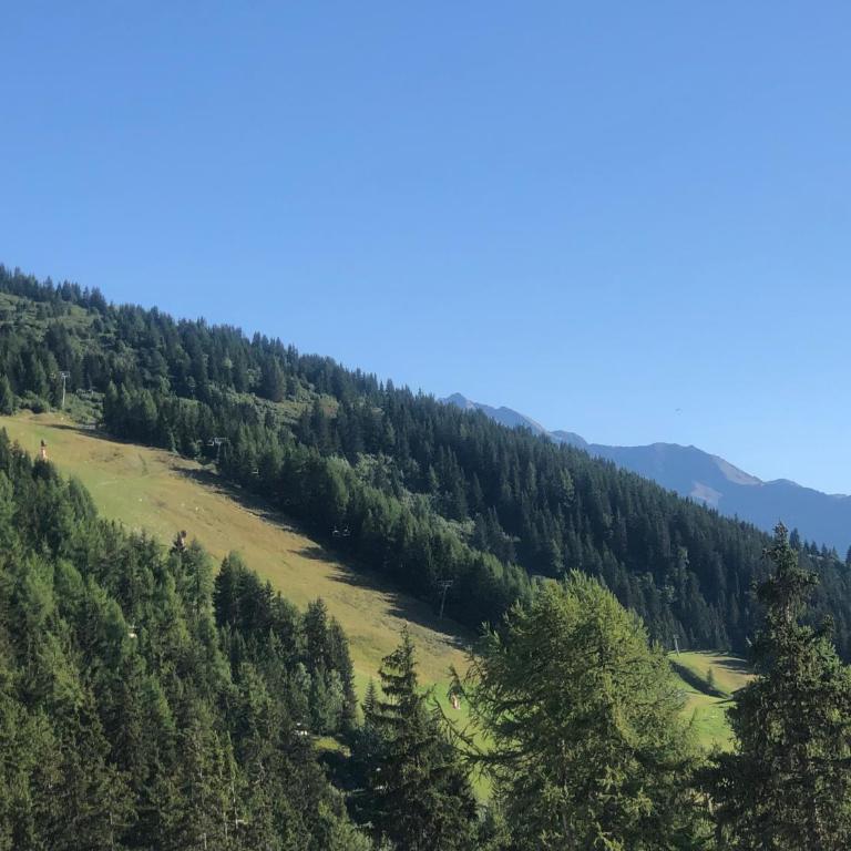 Les ARCS 1600 - SKI AUX PIEDS - MAGNIFIQUE DUPLEX 12 PERSONNES - Appartement - 68