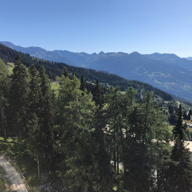 Les ARCS 1600 - SKI AUX PIEDS - MAGNIFIQUE DUPLEX 12 PERSONNES - Appartement - 61