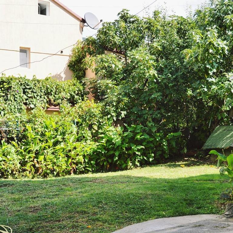 Apartments Nikčević - Apartman sa Pogledom na Vrt - 11