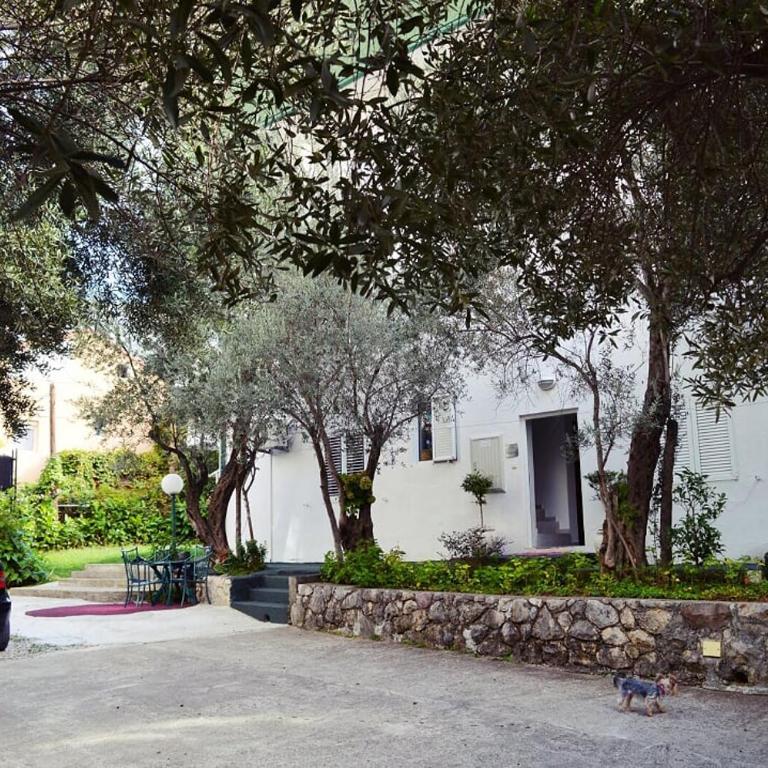 Apartments Nikčević - Apartman sa Pogledom na Vrt - 5