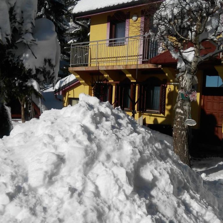 Apartmani Miletic Kopaonik - Studio s Pogledom na Vrt - 4