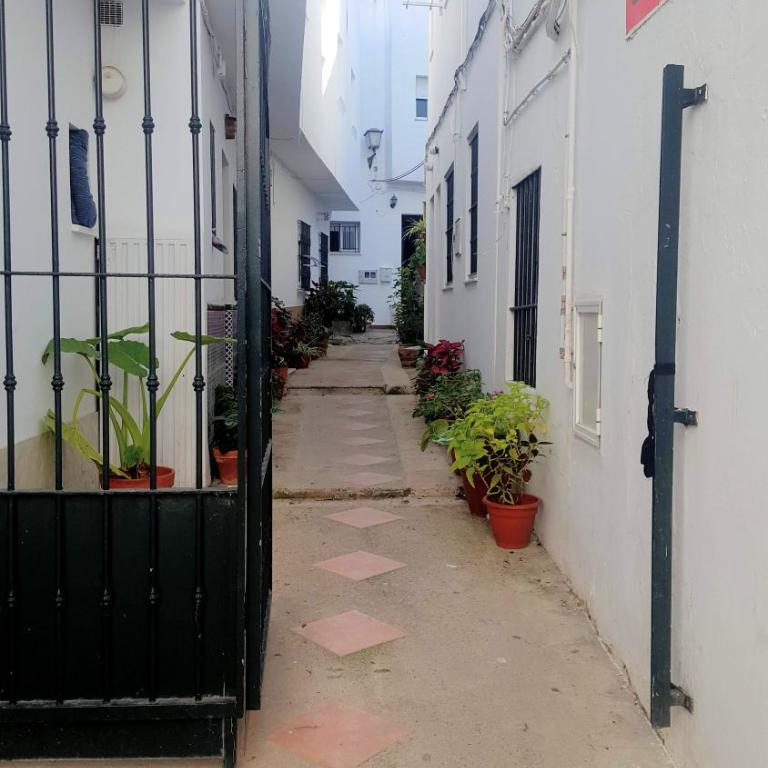 Apartamento Las Pepas en el centro - Apartamento - Planta baja - 21