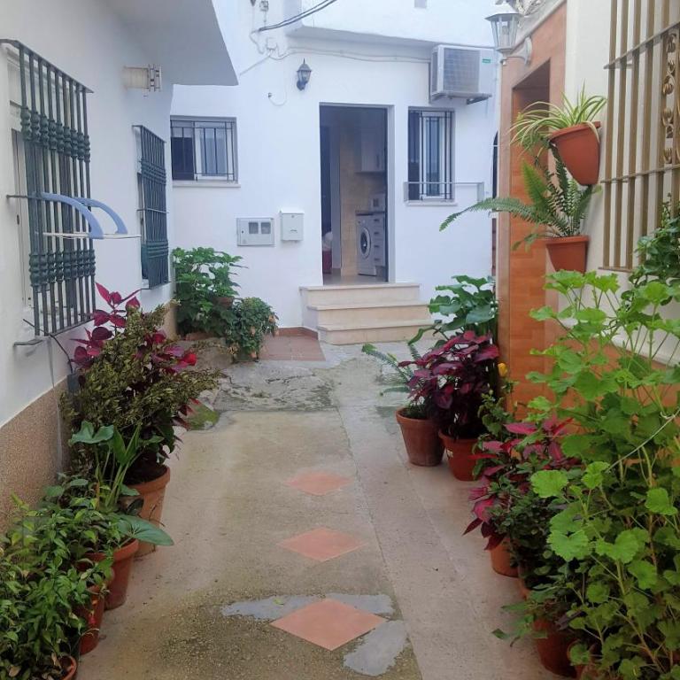 Apartamento Las Pepas en el centro - Apartamento - Planta baja - 23