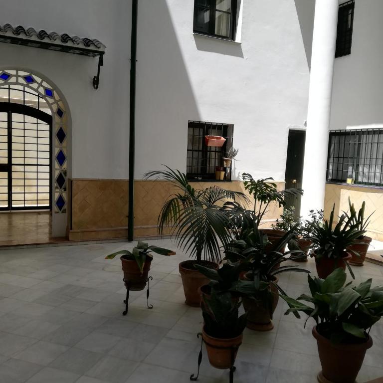 Apartamento en la Judería de Sevilla - Apartamento de 2 dormitorios - 9