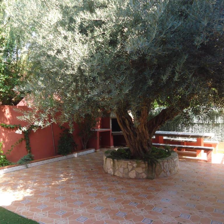 Mediterraneo 2005 Family Complex LEK - Bungalow con patio - 6