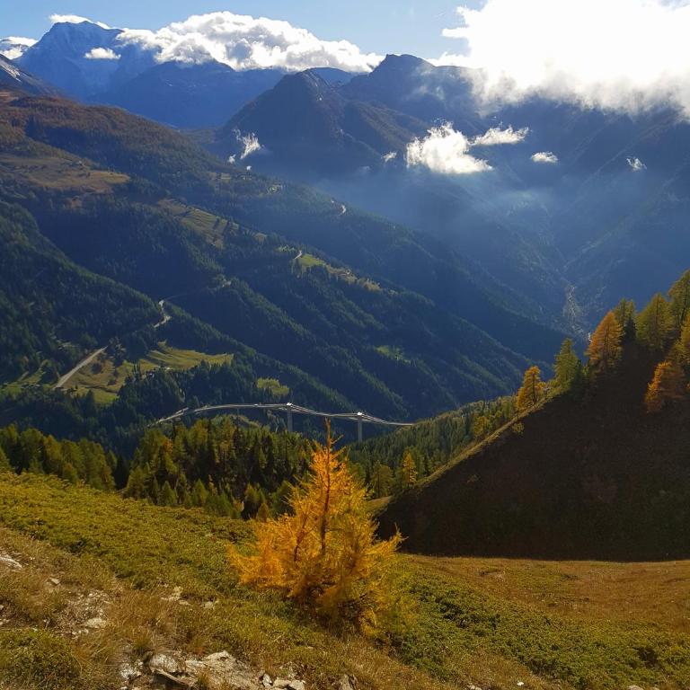 Chalet Bietschhorn Rosswald - Apartment mit Blick auf die Berge - 18
