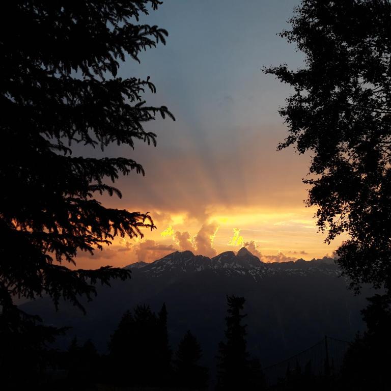 Chalet Bietschhorn Rosswald - Apartment mit Blick auf die Berge - 19