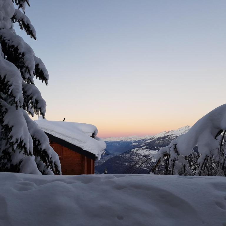 Chalet Bietschhorn Rosswald - Apartment mit Blick auf die Berge - 17