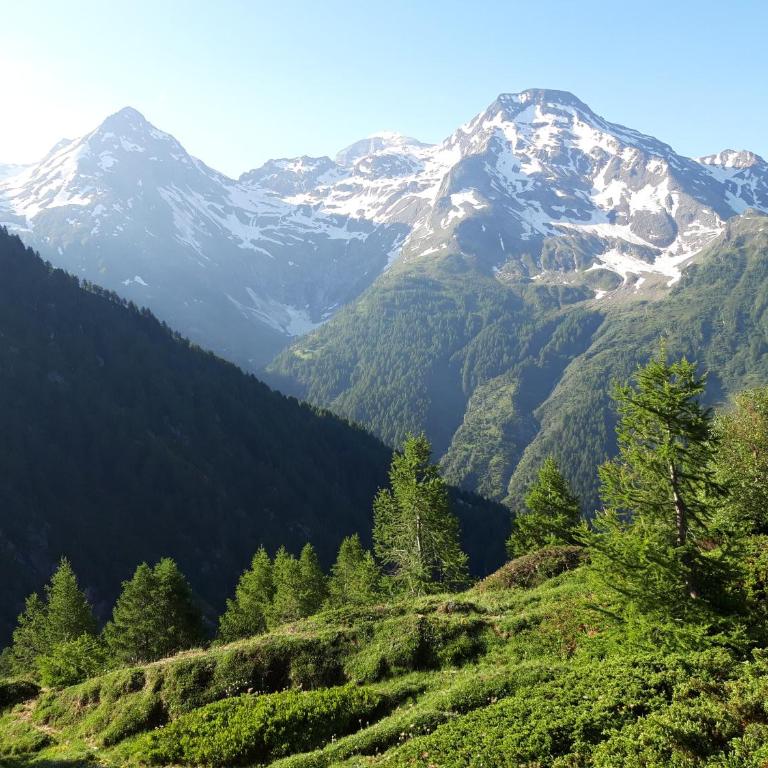 Chalet Bietschhorn Rosswald - Apartment mit Blick auf die Berge - 22