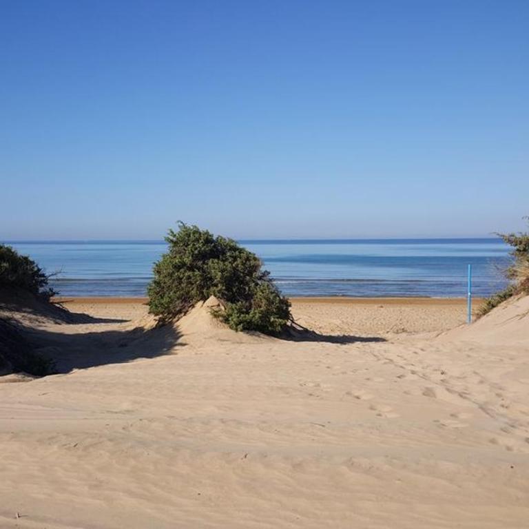 Villa Salina fronte mare - Villa - 10