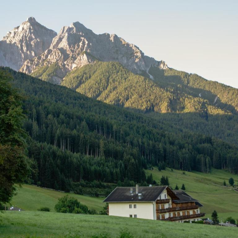 Hotel Wiesenhof - Doppelzimmer mit Balkon - 4