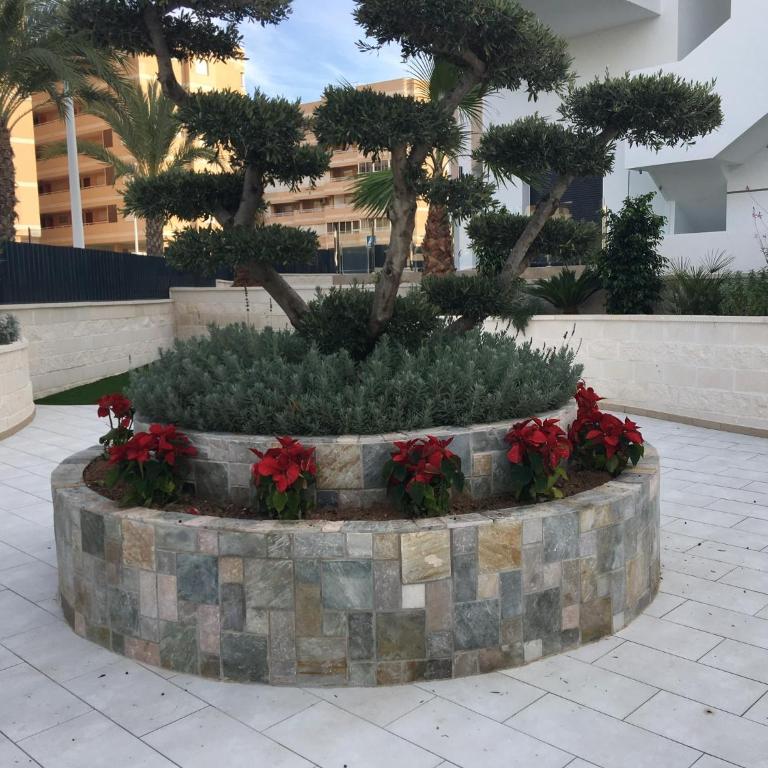 Luxury Appartement Los Arenales Del Sol, Near Beach, Large Solarium, Full Equipement - Apartamento de 2 dormitorios - 24