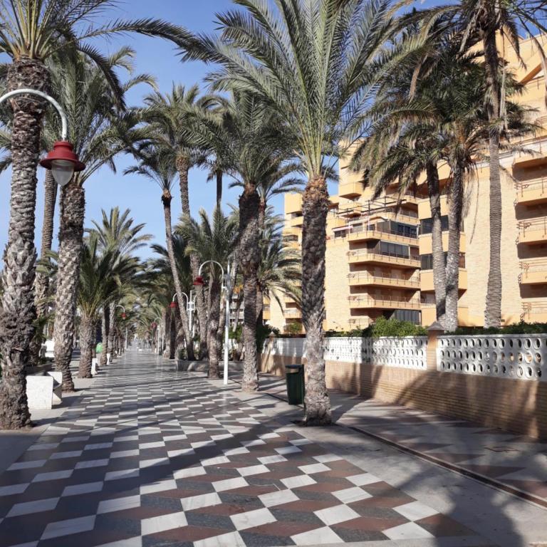 SANGRIA - Two-Bedroom Apartment - 7