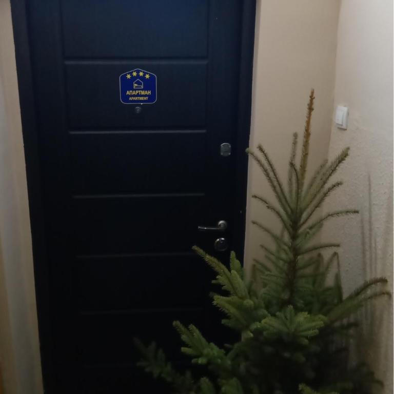 Balkanic Star Belgrade - Apartman - 11