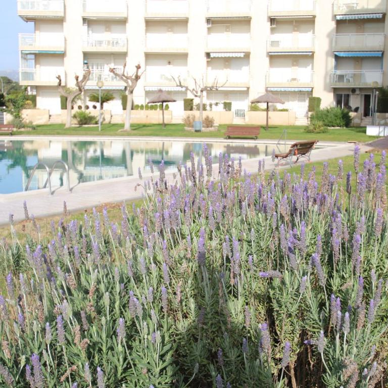 Los Pelicanos - Apartamento con vistas a la piscina - 20
