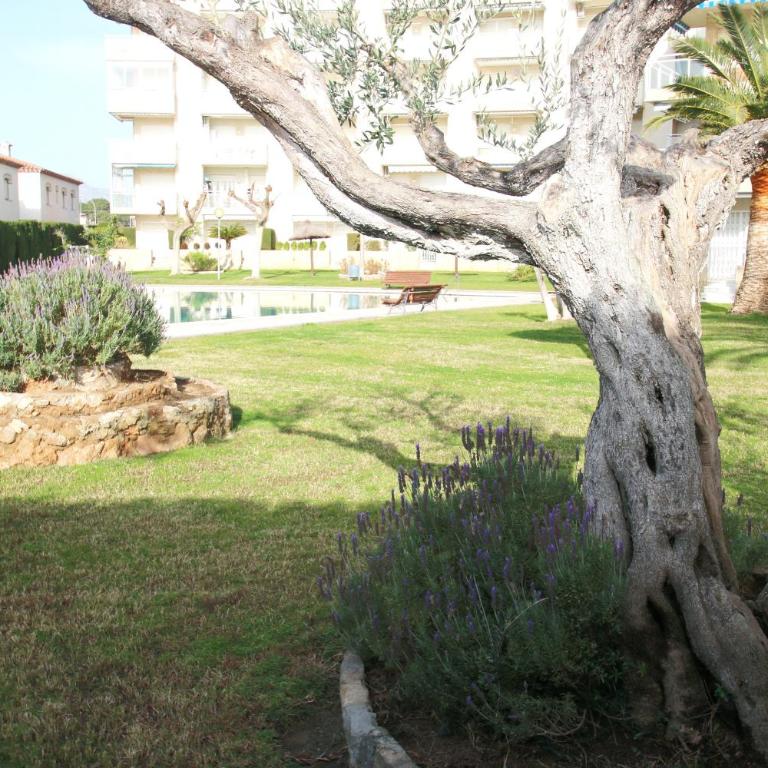 Los Pelicanos - Apartamento con vistas a la piscina - 3