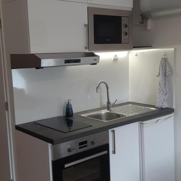 "Monplaisir", parking, espace de travail avec wifi, proximité commerces, gare, Université Lyon 3 , Tram T2, T4 et C25, idéal voyages d'affaires et tourisme - Studio - 13