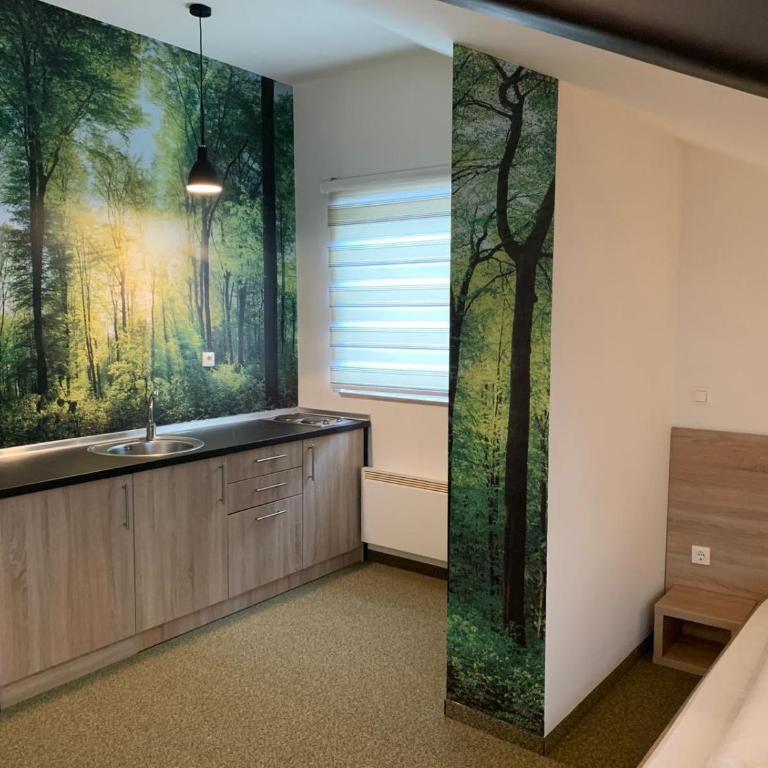 Apartmani Vila Bella Jahorina - Studio - 4