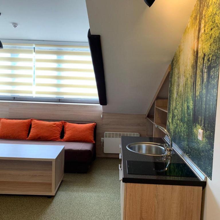 Apartmani Vila Bella Jahorina - Studio - 3