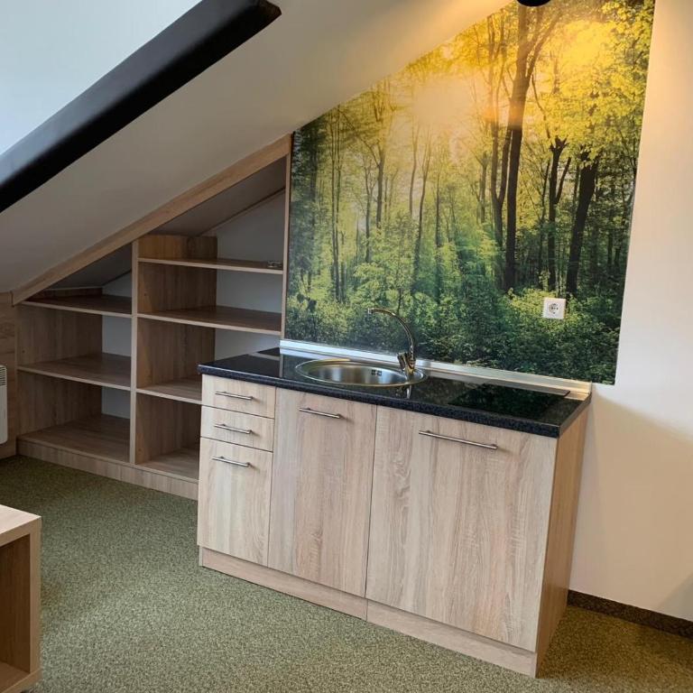 Apartmani Vila Bella Jahorina - Studio - 1