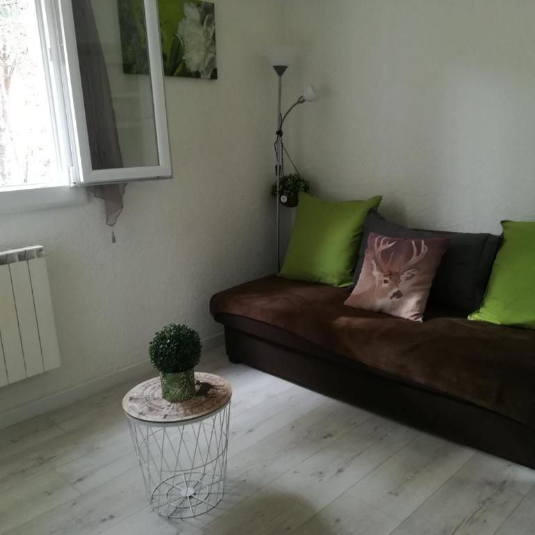 Les écureuils à la mer - Appartement 1 Chambre - 43
