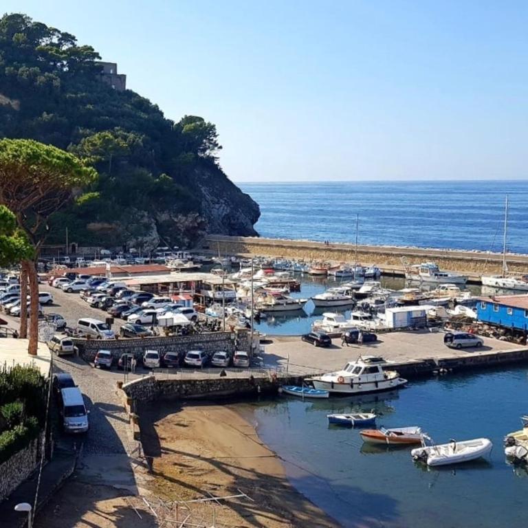 Relais del mare con terrazza fronte mare free parking - Appartamento con Vista Mare - 1