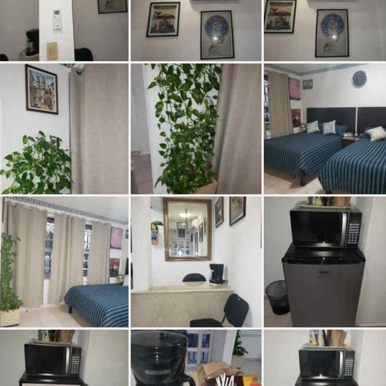Casa Zac Nicte Mx-Departamento BALAM - One-Bedroom Apartment - 13