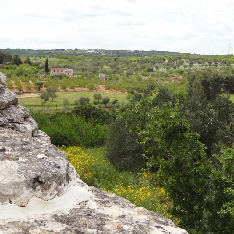 Trullo la perla di pietra - Villa with Private Pool - 43