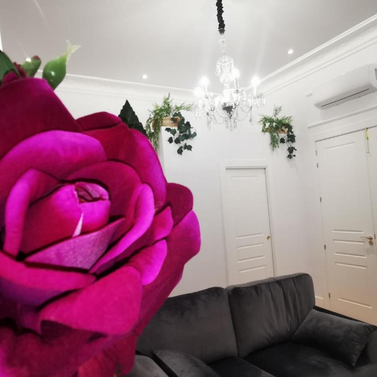 Rua Suites Boutique - Suite Deluxe - 11