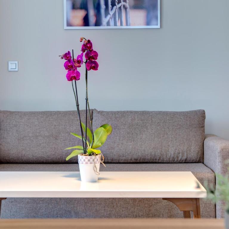 Hotel Eden - King Suite with Balcony - 6