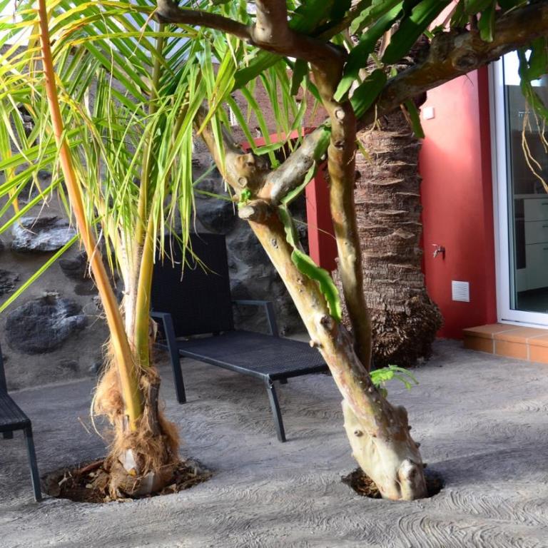Casita La Palmera - Casa con 1 dormitorio - 14