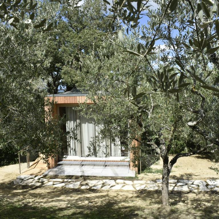 Villa Cicolina - Suite con Terrazza - 7