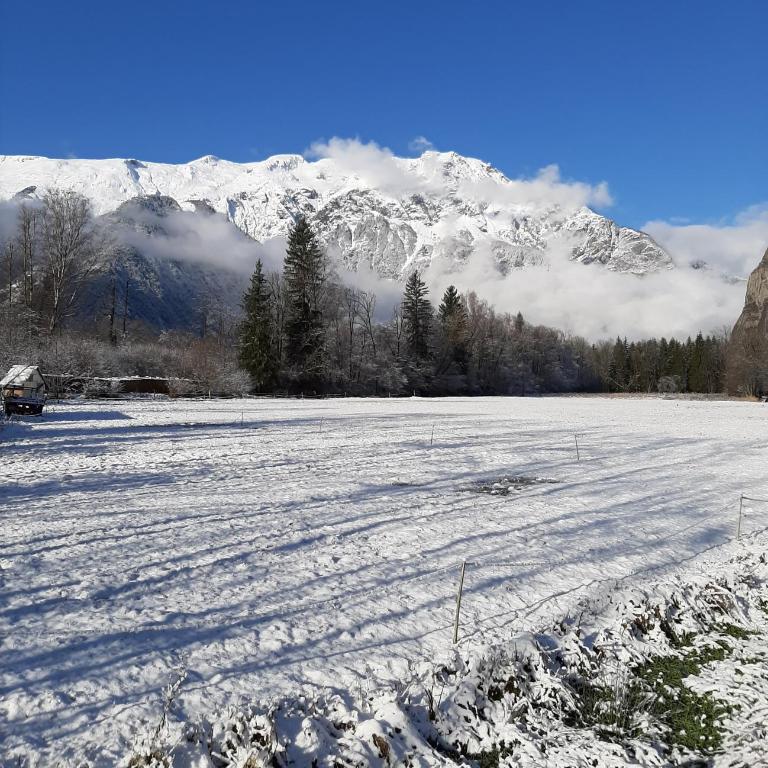Le Manoir, appartement Onyx - Appartamento con 3 Camere da Letto - 37