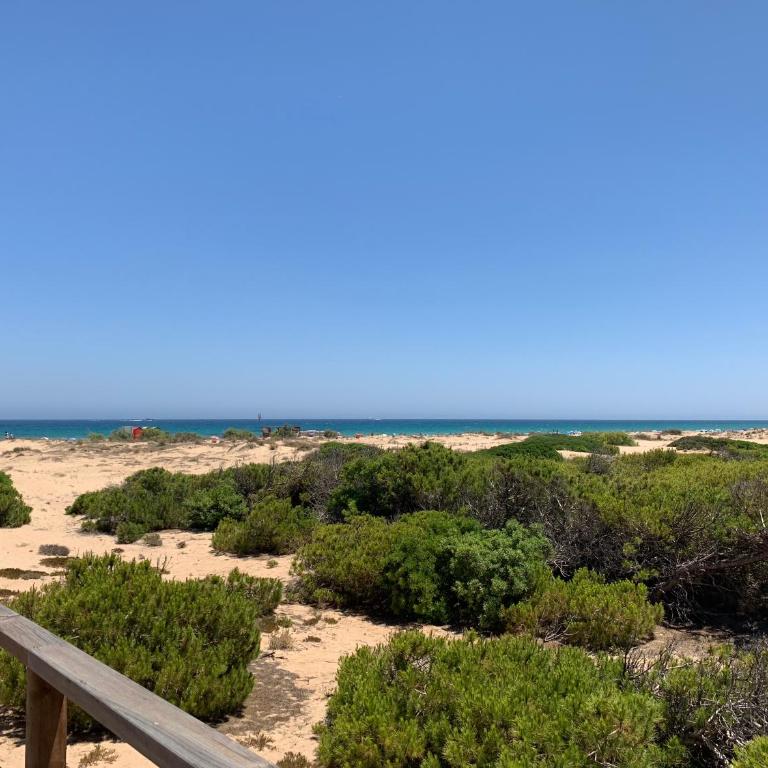 Mar y Sol - Two-Bedroom Apartment - 27