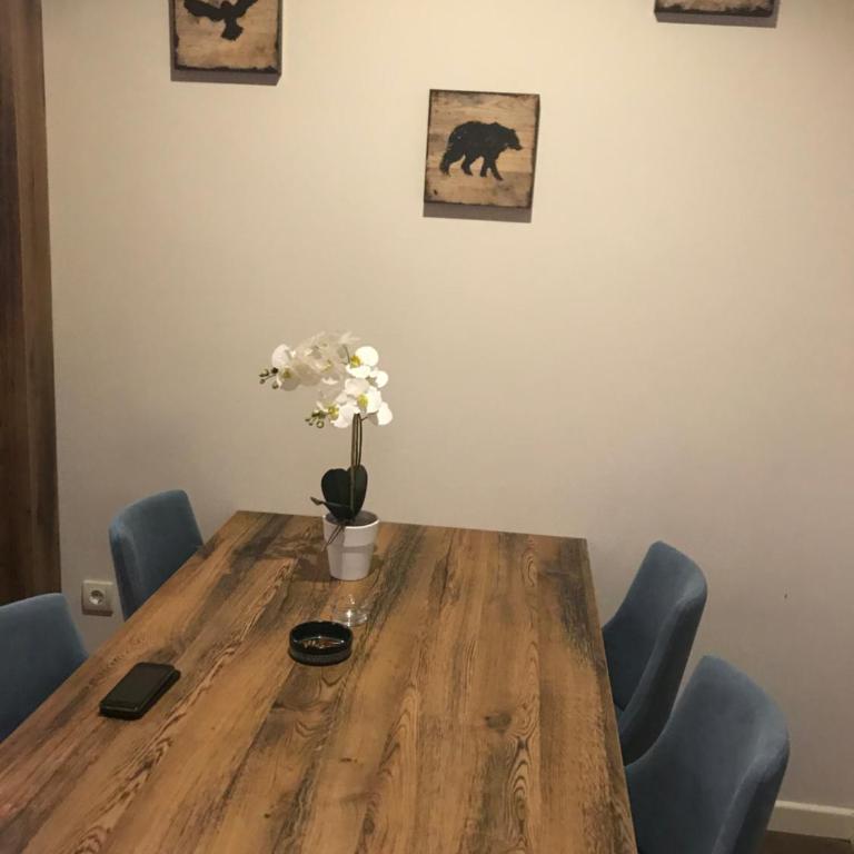 Zupa Deluxe Kopaonik - One-Bedroom Apartment - 1