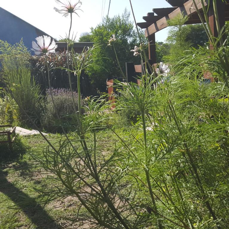 La Marujada - Casa - 16