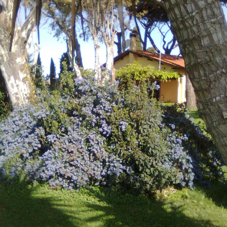 Casa Vacanze Vigna di Valle - Loft - 2