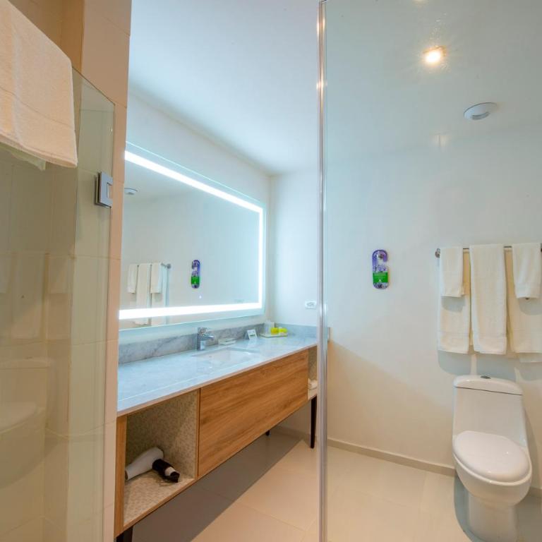 Holiday Inn & Suites - Merida La Isla by IHG - Habitación Estándar con cama extragrande - Adaptada para personas de movilidad reducida - 2
