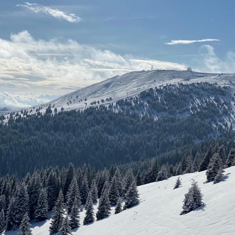 Ski & Spa Apartment S20 Milmari Resort Kopaonik - Studio with Mountain View - 80