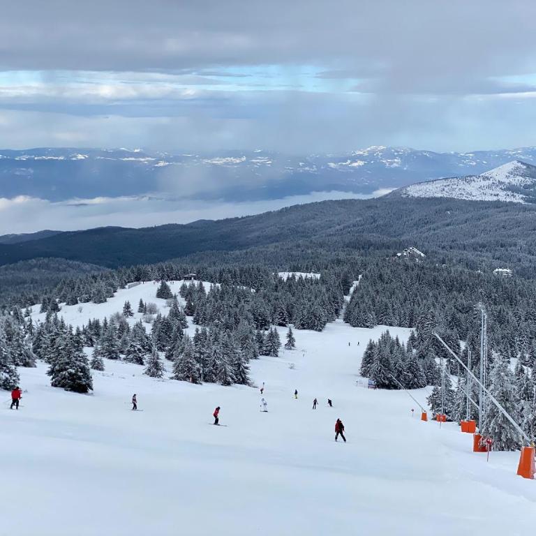 Ski & Spa Apartment S20 Milmari Resort Kopaonik - Studio with Mountain View - 76