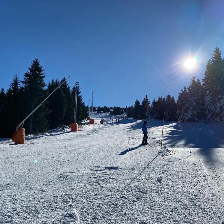 Ski & Spa Apartment S20 Milmari Resort Kopaonik - Studio with Mountain View - 78