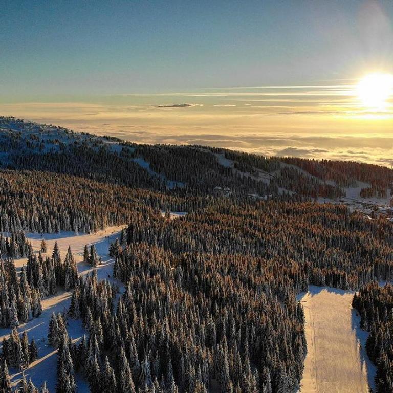 Ski & Spa Apartment S20 Milmari Resort Kopaonik - Studio with Mountain View - 83