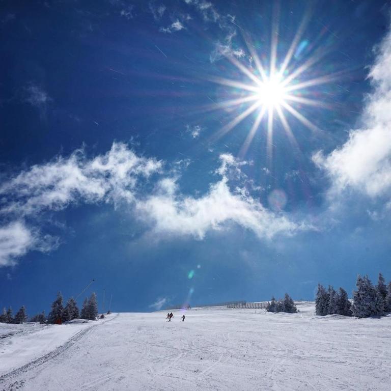 Ski & Spa Apartment S20 Milmari Resort Kopaonik - Studio with Mountain View - 74