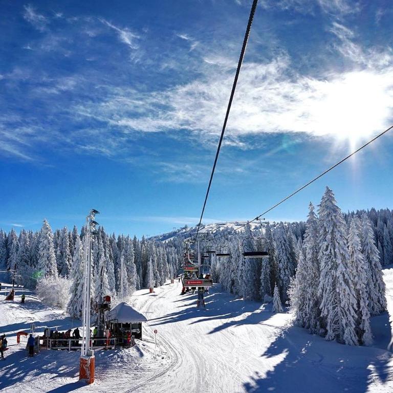 Ski & Spa Apartment S20 Milmari Resort Kopaonik - Studio with Mountain View - 73