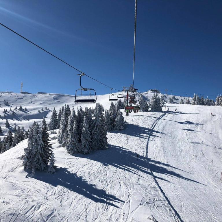 Ski & Spa Apartment S20 Milmari Resort Kopaonik - Studio with Mountain View - 77