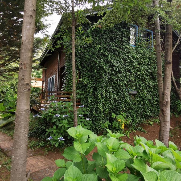 Cabaa Pudomo en Coaripe con Hot-tub exclusivo - Vacation Home - 2