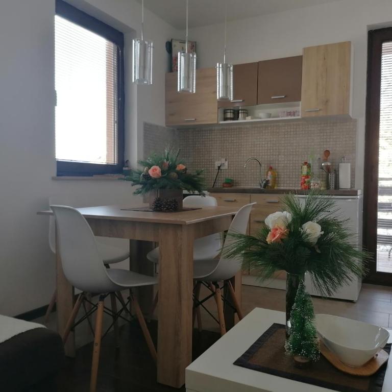 Apartmani Starovla - Apartman sa 1 Spavaćom Sobom - 5