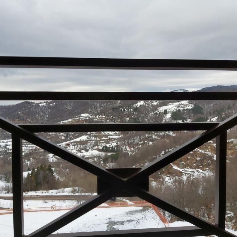 AMI apartman Kopaonik - Apartment with Mountain View - 38