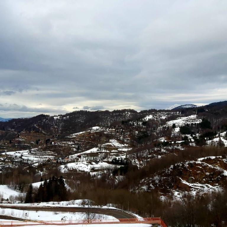 AMI apartman Kopaonik - Apartment with Mountain View - 39