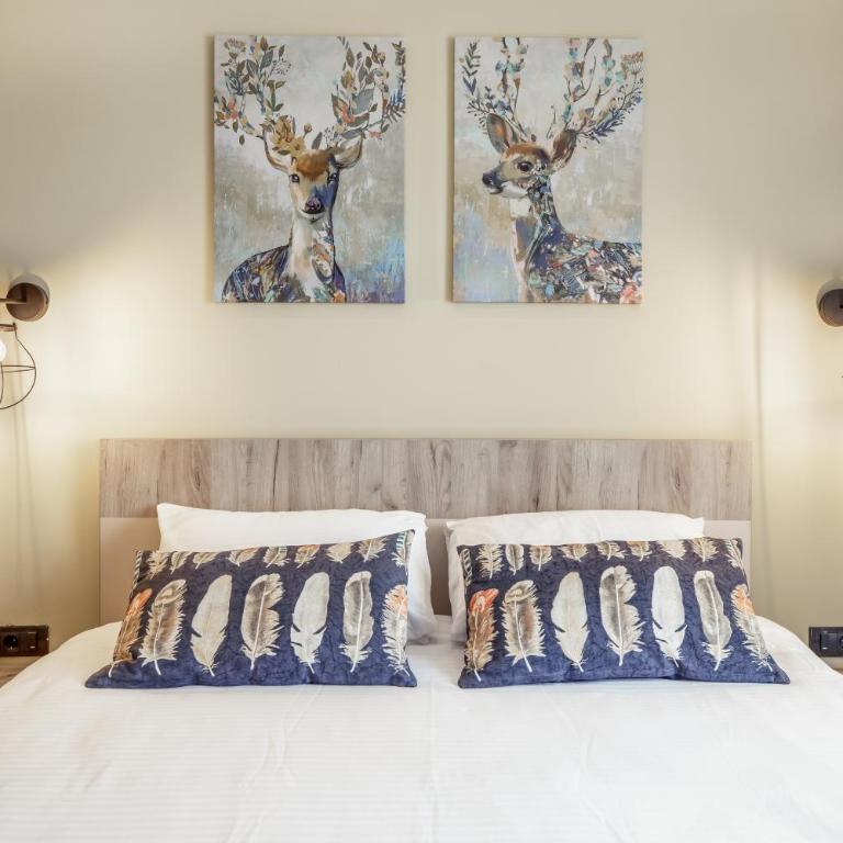 Sky Cabin Apartments - FREE GARAGE - Studio with Mountain View - 6
